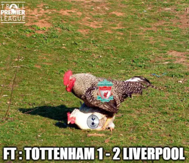 乒乓球混合团体世界杯：中国队六连胜领跑积分榜